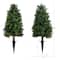 2.5ft. UV Resistant Boxwood Plant Set with Integrated Ground Stake